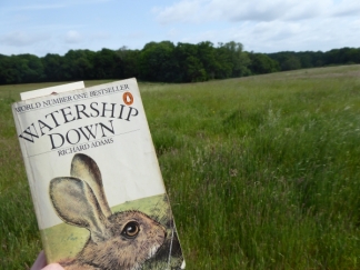 watership down on location