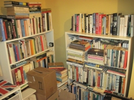 Pre-move double-stacking situation in my study.