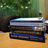 Arctic-themed reading stack